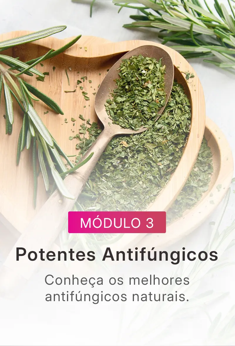 modulo3.webp